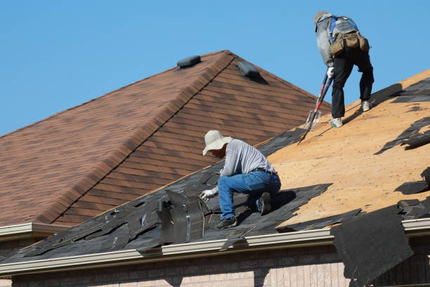 Best Emergency Roof Repair Services  in Renovo, PA